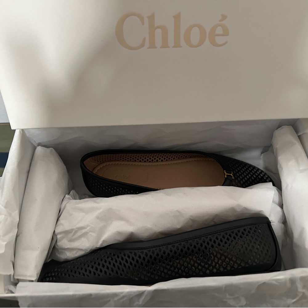 Chloe Mesh Flats